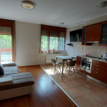 Apartmán Sunny Loft Kecskemét Exteriér fotografie