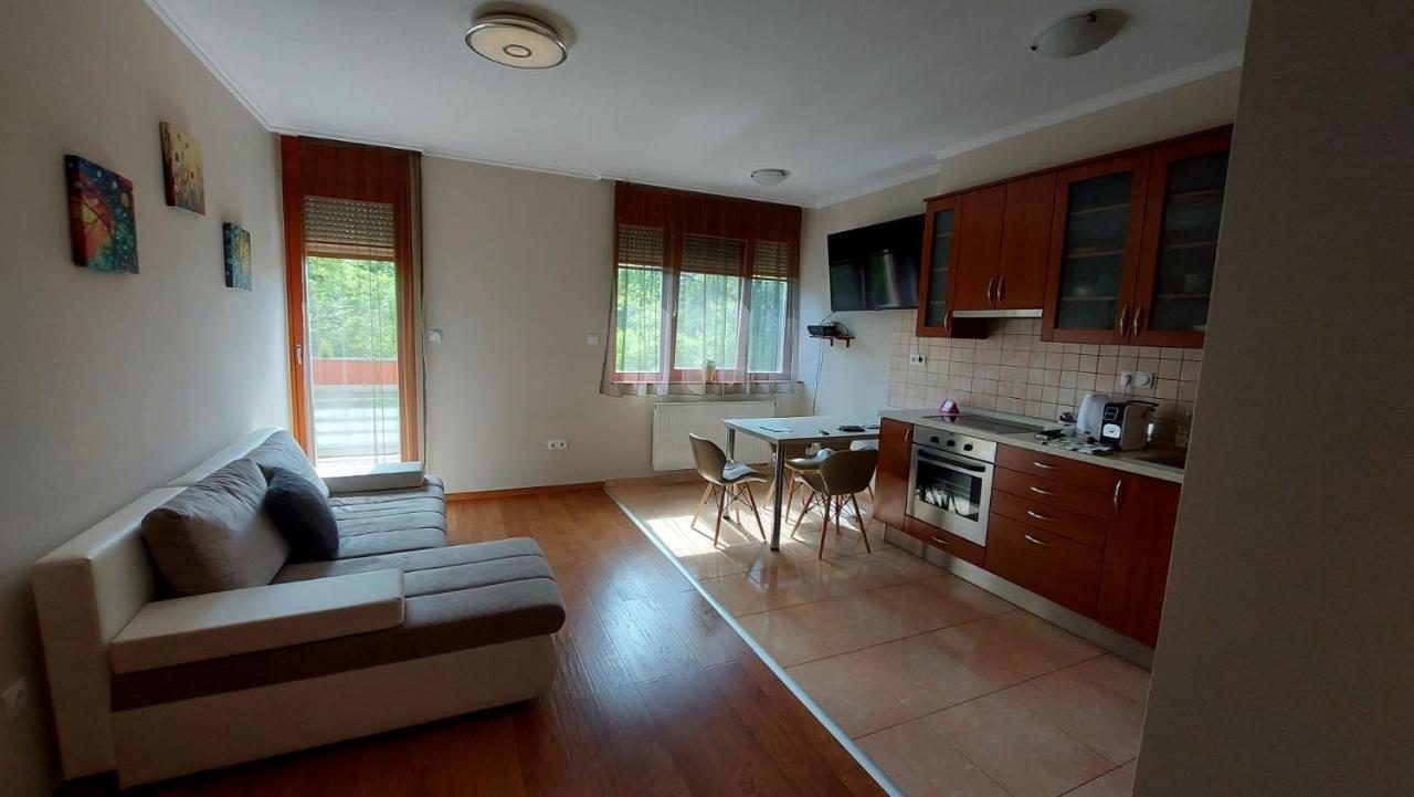 Apartmán Sunny Loft Kecskemét Exteriér fotografie